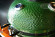 Керамический гриль SG с окошком, 57 см / 22 дюйма (зеленый) (Start Grill) в Саратове